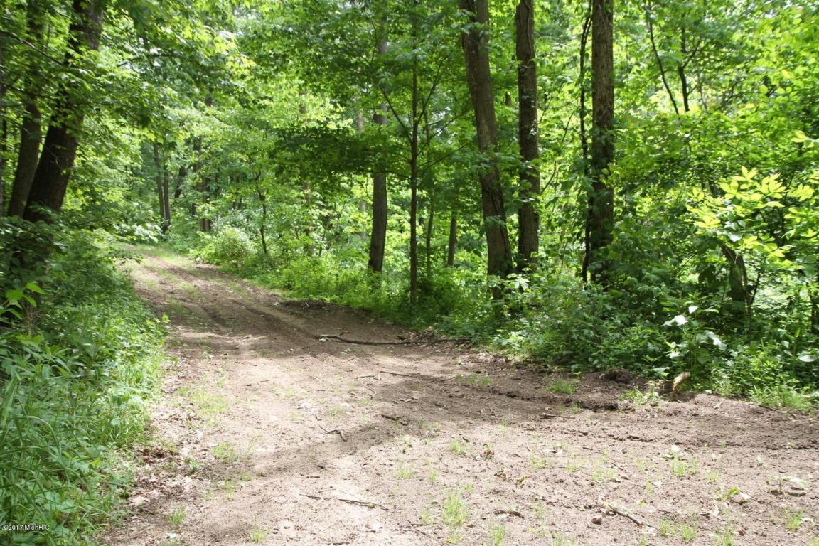 17841 T Dr S, Tekonsha, MI 49092 photo 37