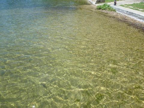 58414 E Clear Lake Rd, Three Rivers, MI 49093 photo 29