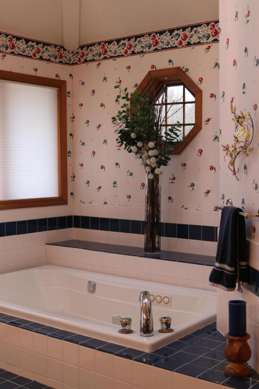 22272 Loupee Dr, Cassopolis, MI 49031 photo 28