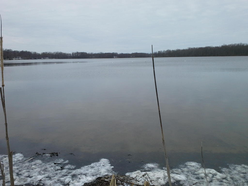 3045 Baseline, Gobles, MI 49055 photo 8