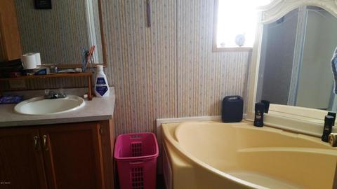 6293 20th Ave, Sears, MI 49679 photo 13
