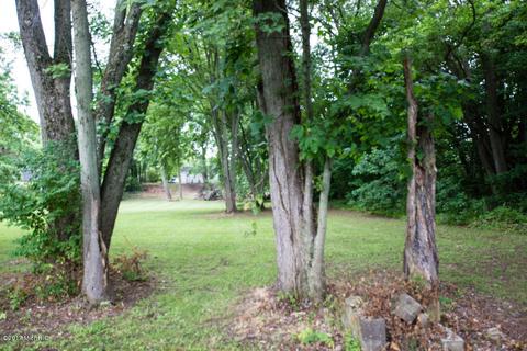 1288 River St, Three Rivers, MI 49093 photo 19