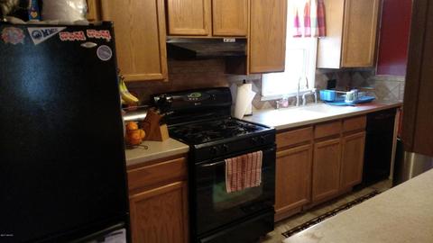 206 N First St, Edmore, MI 48829 photo 19