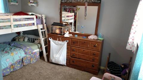 206 N First St, Edmore, MI 48829 photo 6