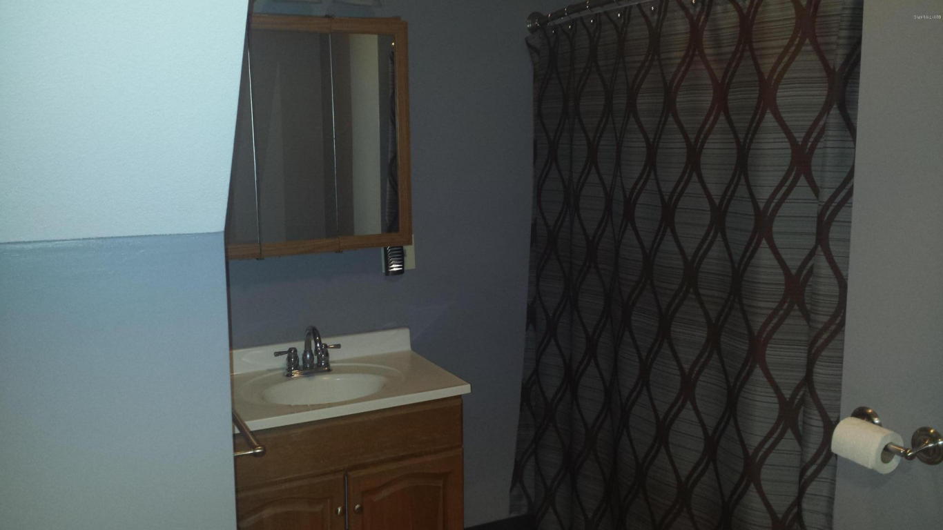 106 Emerson St, Waldron, MI 49288 photo 11