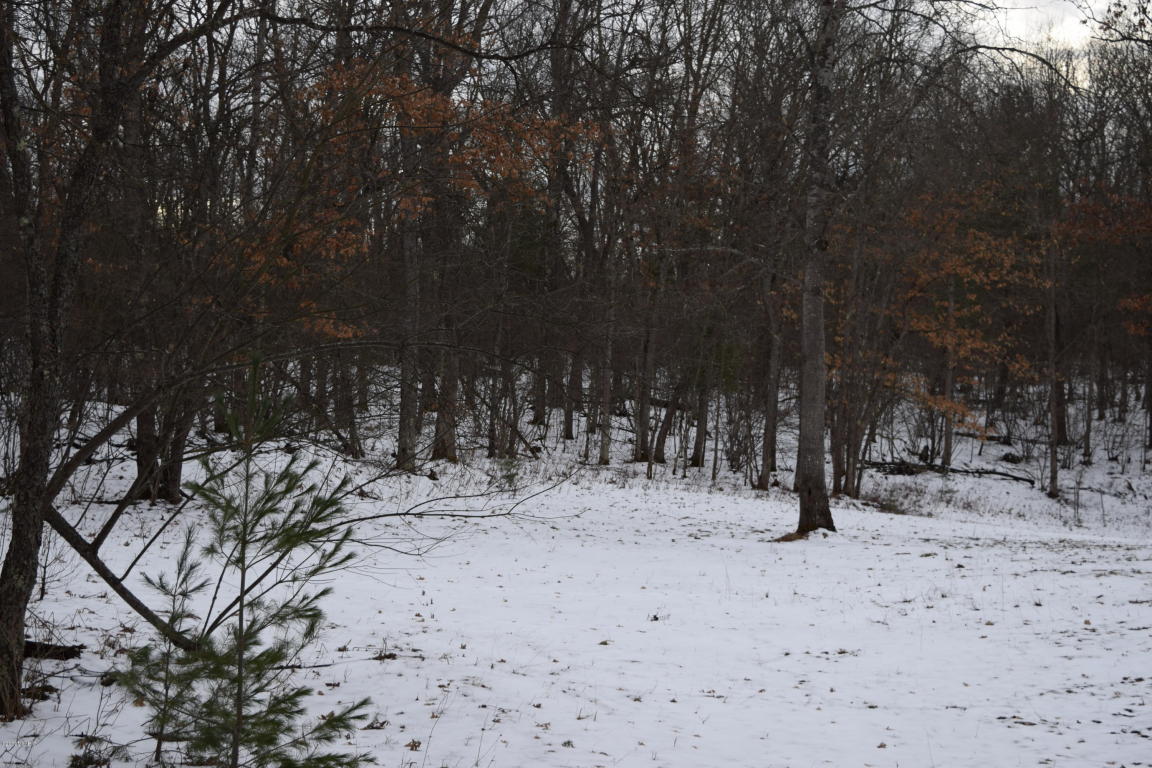 191 E 14 Mile Rd, Bitely, MI 49309 photo 24