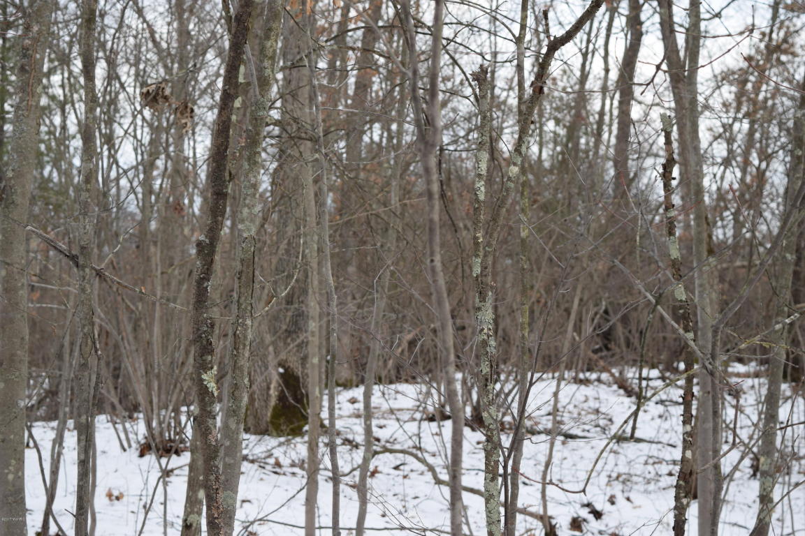 191 E 14 Mile Rd, Bitely, MI 49309 photo 17