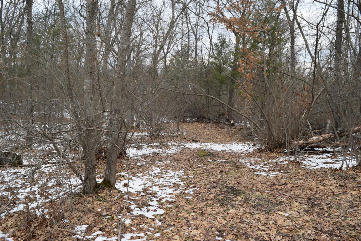 191 E 14 Mile Rd, Bitely, MI 49309 photo 20