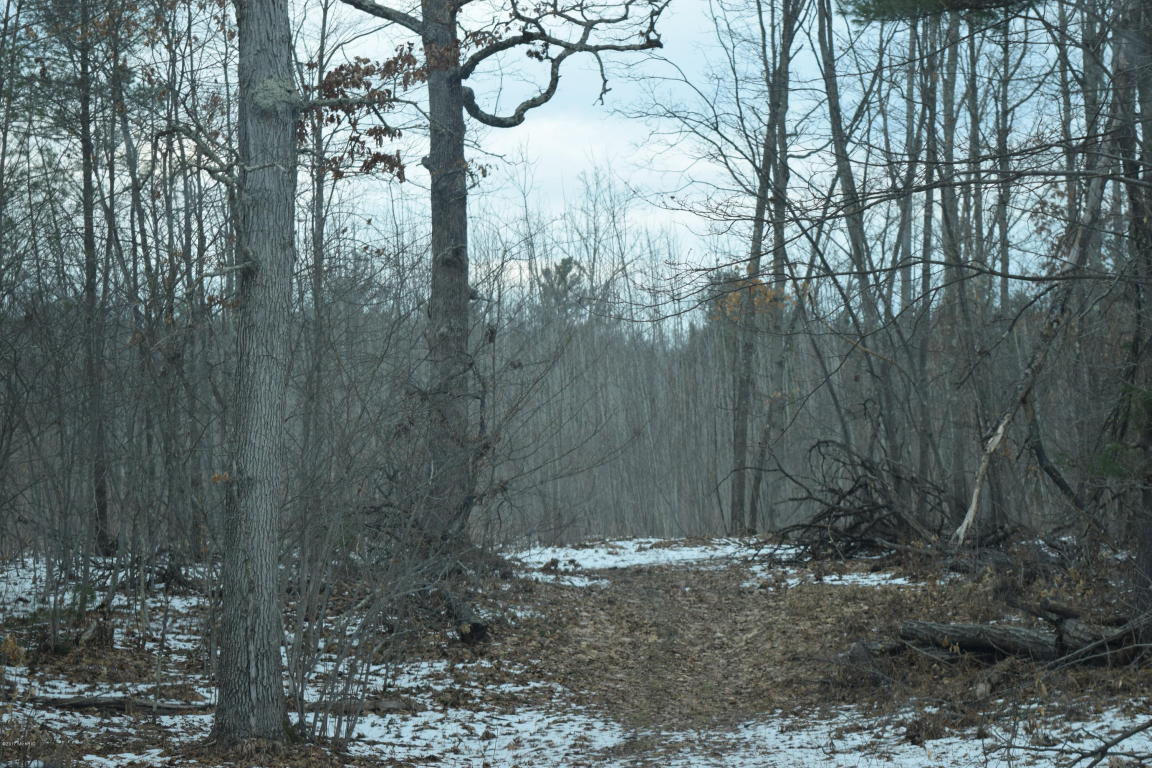 191 E 14 Mile Rd, Bitely, MI 49309 photo 14