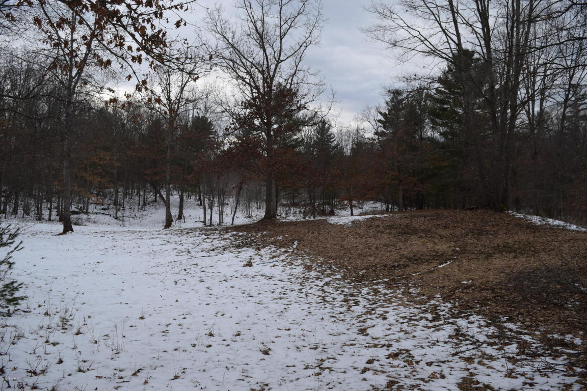 191 E 14 Mile Rd, Bitely, MI 49309 photo 22