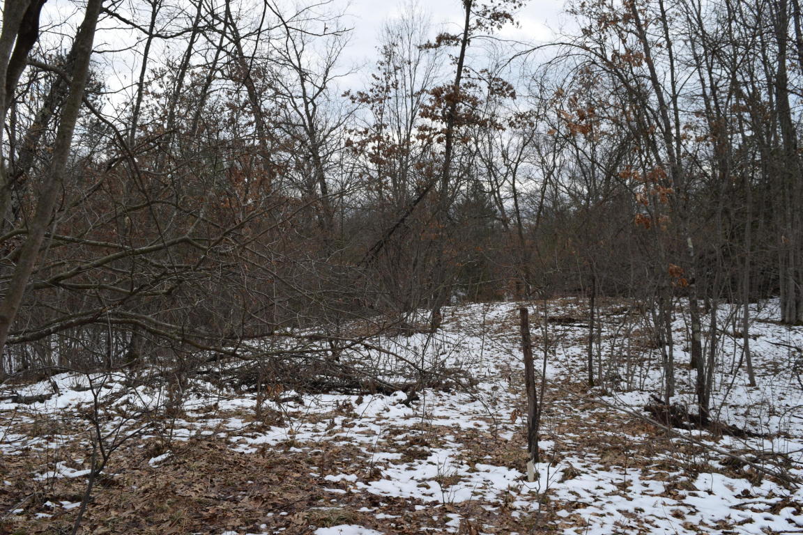 191 E 14 Mile Rd, Bitely, MI 49309 photo 18