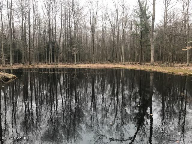 5720 Simonelli Rd, Whitehall, MI 49461 photo 29