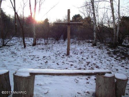 6087 E Hansen Rd, Custer, MI 49405 photo 30