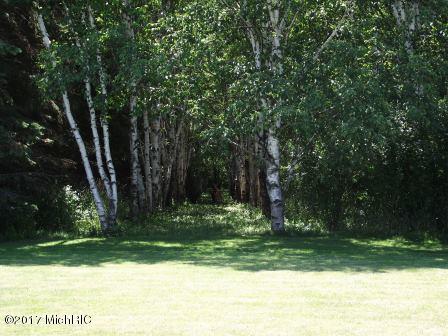6087 E Hansen Rd, Custer, MI 49405 photo 21