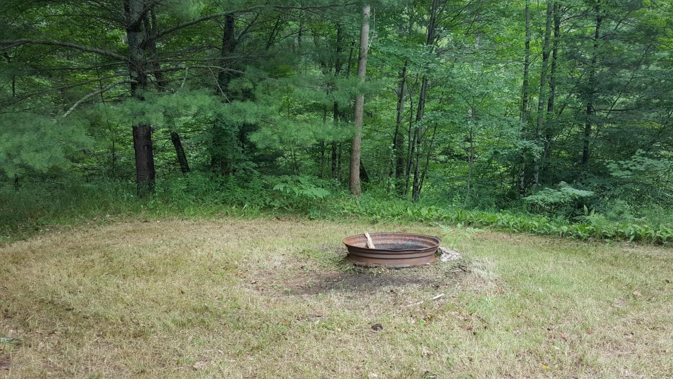 3214 S Walnut Ave, White Cloud, MI 49349 photo 6
