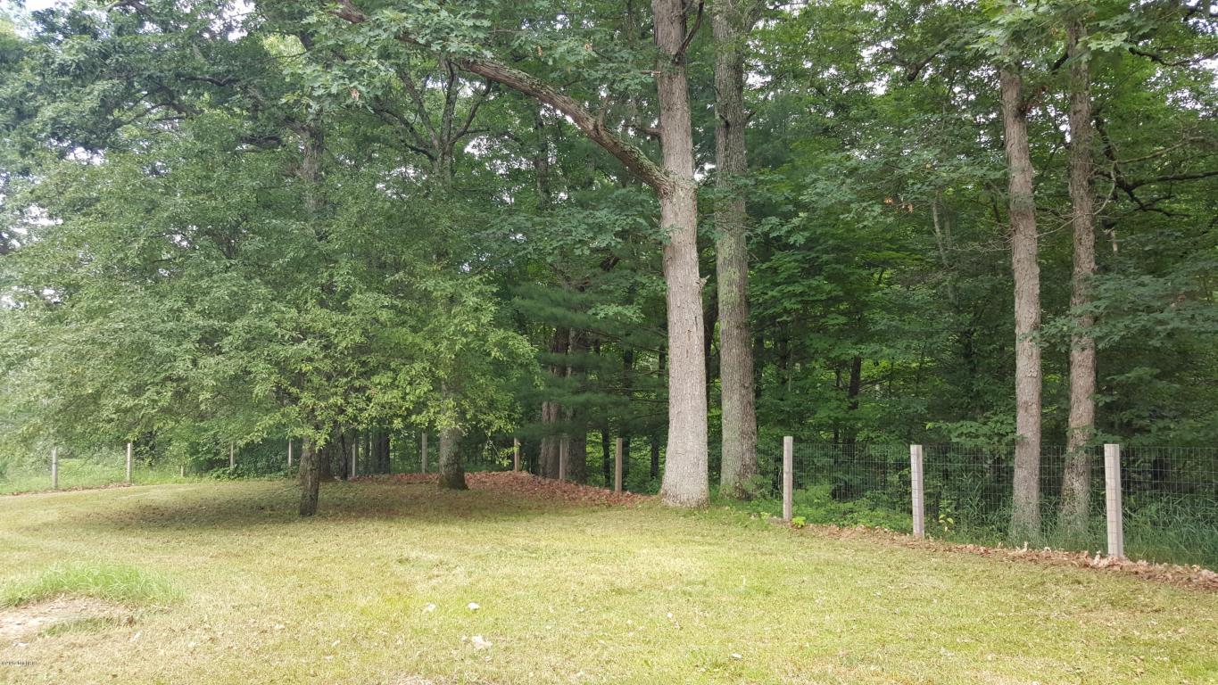 3214 S Walnut Ave, White Cloud, MI 49349 photo 7