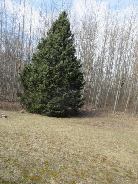 1435 E James, White Cloud, MI 49349 photo 27