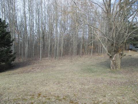 1435 E James, White Cloud, MI 49349 photo 23