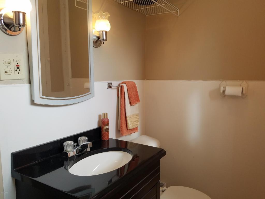 316 E Colby St, Whitehall, MI 49461 photo 15