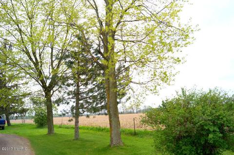 4888 E Bippley Rd, Sunfield, MI 48890 photo 42