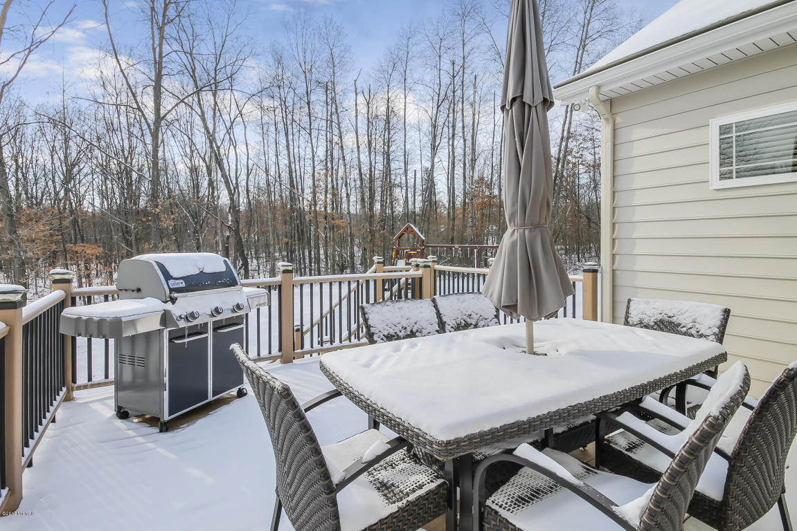 11609 Thames Ct, Lowell, MI 49331 photo 57