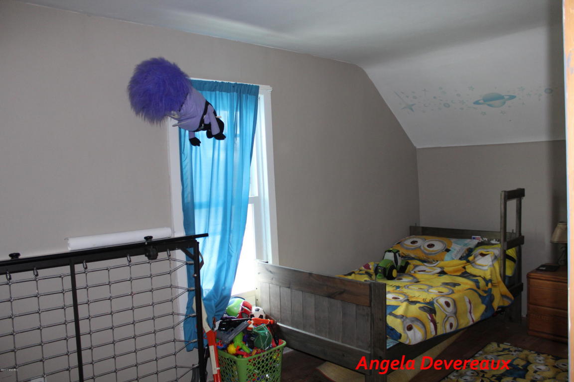 2024 W Sidney Rd, Sidney, MI 48885 photo 18