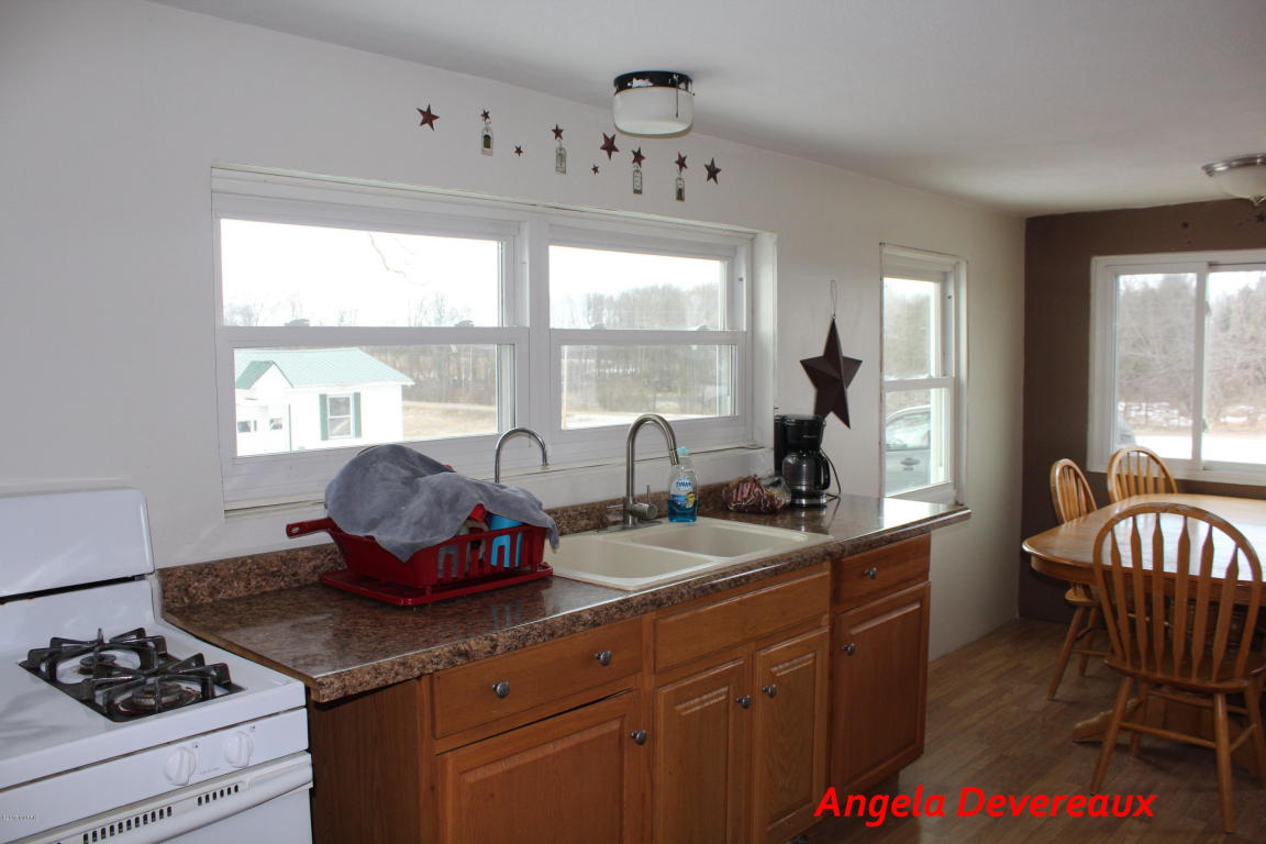 2024 W Sidney Rd, Sidney, MI 48885 photo 11
