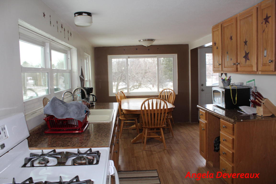 2024 W Sidney Rd, Sidney, MI 48885 photo 9