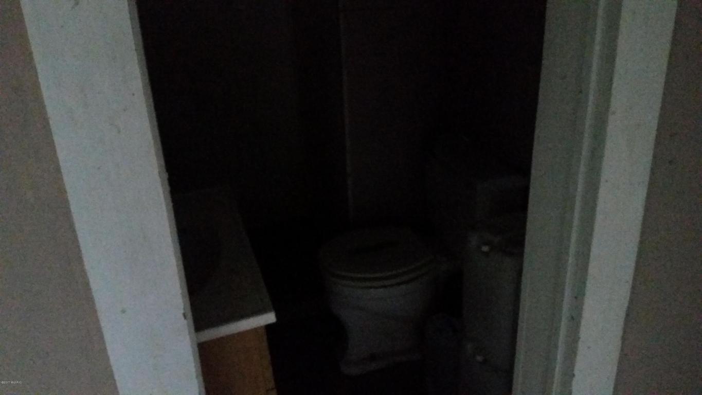 147 E Sidney Rd, Stanton, MI 48888 photo 8