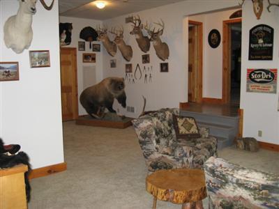 500 Vine St, Stanton, MI 48888 photo 22