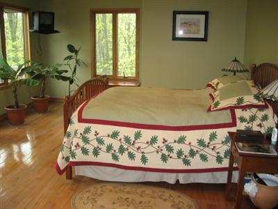 500 Vine St, Stanton, MI 48888 photo 10