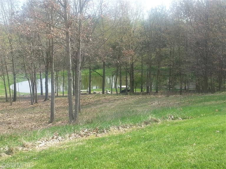 500 Vine St, Stanton, MI 48888 photo 2