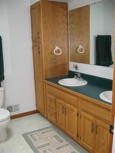 500 Vine St, Stanton, MI 48888 photo 17