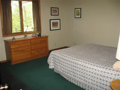 500 Vine St, Stanton, MI 48888 photo 14