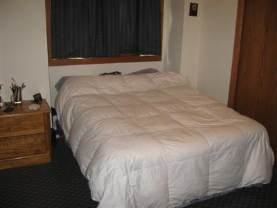 500 Vine St, Stanton, MI 48888 photo 13
