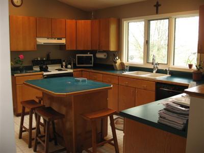 500 Vine St, Stanton, MI 48888 photo 8