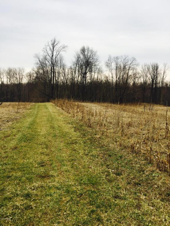 4321 Cooper Rd, Dowling, MI 49050 photo 39