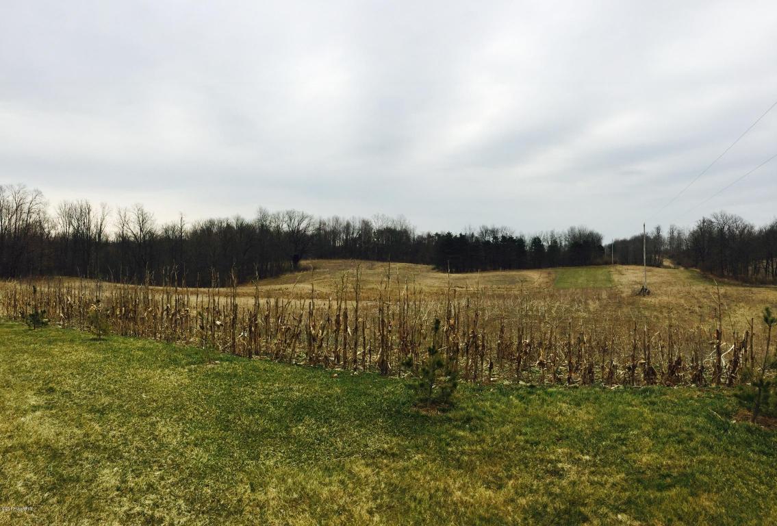 4321 Cooper Rd, Dowling, MI 49050 photo 41