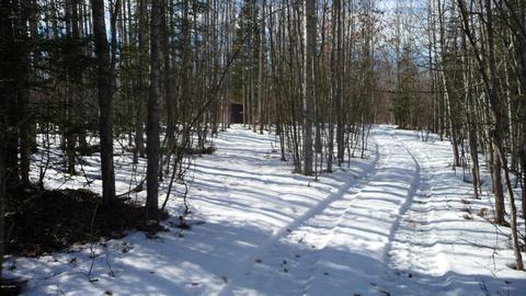 4475 Pierce Rd, Harrison, MI 48625 photo 50