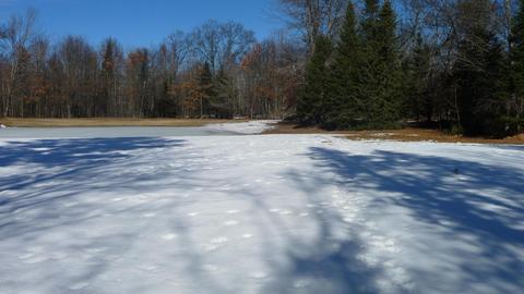 4475 Pierce Rd, Harrison, MI 48625 photo 38
