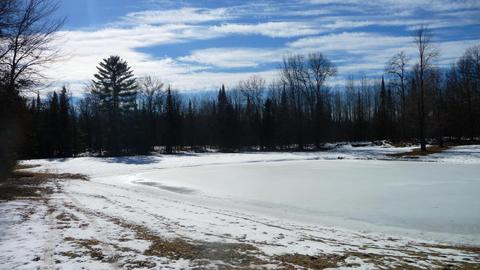 4475 Pierce Rd, Harrison, MI 48625 photo 46