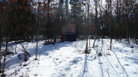 4475 Pierce Rd, Harrison, MI 48625 photo 55