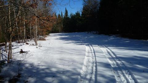 4475 Pierce Rd, Harrison, MI 48625 photo 49