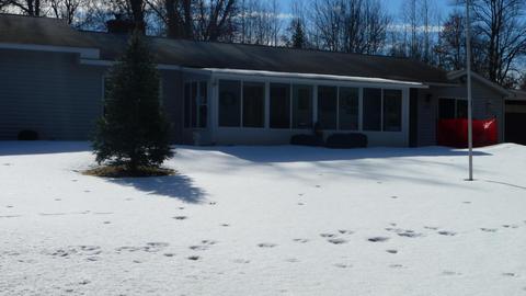 4475 Pierce Rd, Harrison, MI 48625 photo 57