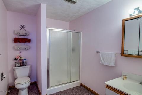 8140 Hall Rd, Bellevue, MI 49021 photo 21