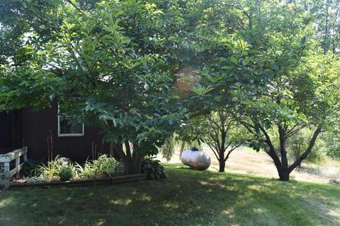 7360 Cox Rd, Bellevue, MI 49021 photo 63