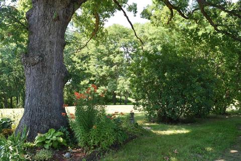 7360 Cox Rd, Bellevue, MI 49021 photo 67