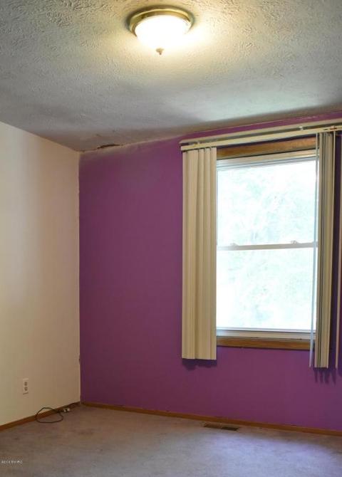 7360 Cox Rd, Bellevue, MI 49021 photo 23