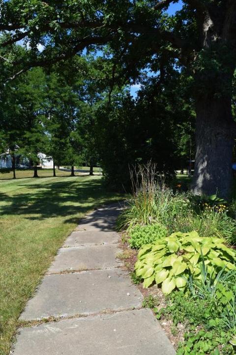 7360 Cox Rd, Bellevue, MI 49021 photo 59