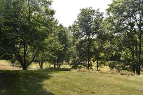 7360 Cox Rd, Bellevue, MI 49021 photo 64